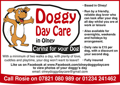 Olney Doggy Day Care looks after your pet