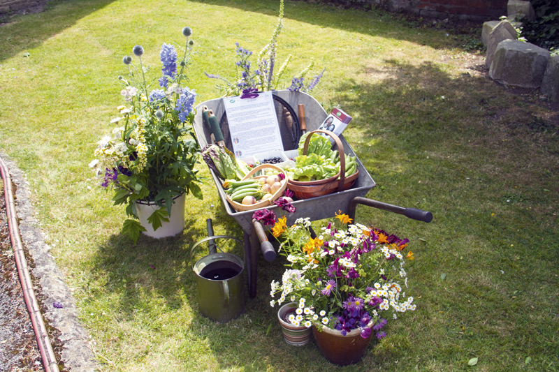 The Olney Flower Festival Garden